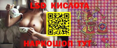 прущие грибы Пугачёв