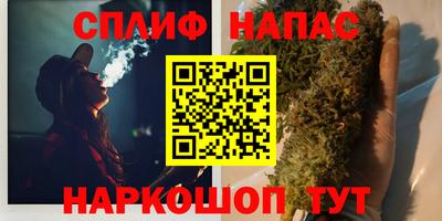 прущие грибы Пугачёв