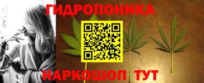 индика Пыть-Ях