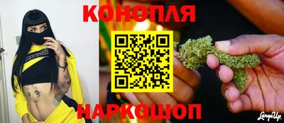 прущие грибы Пугачёв